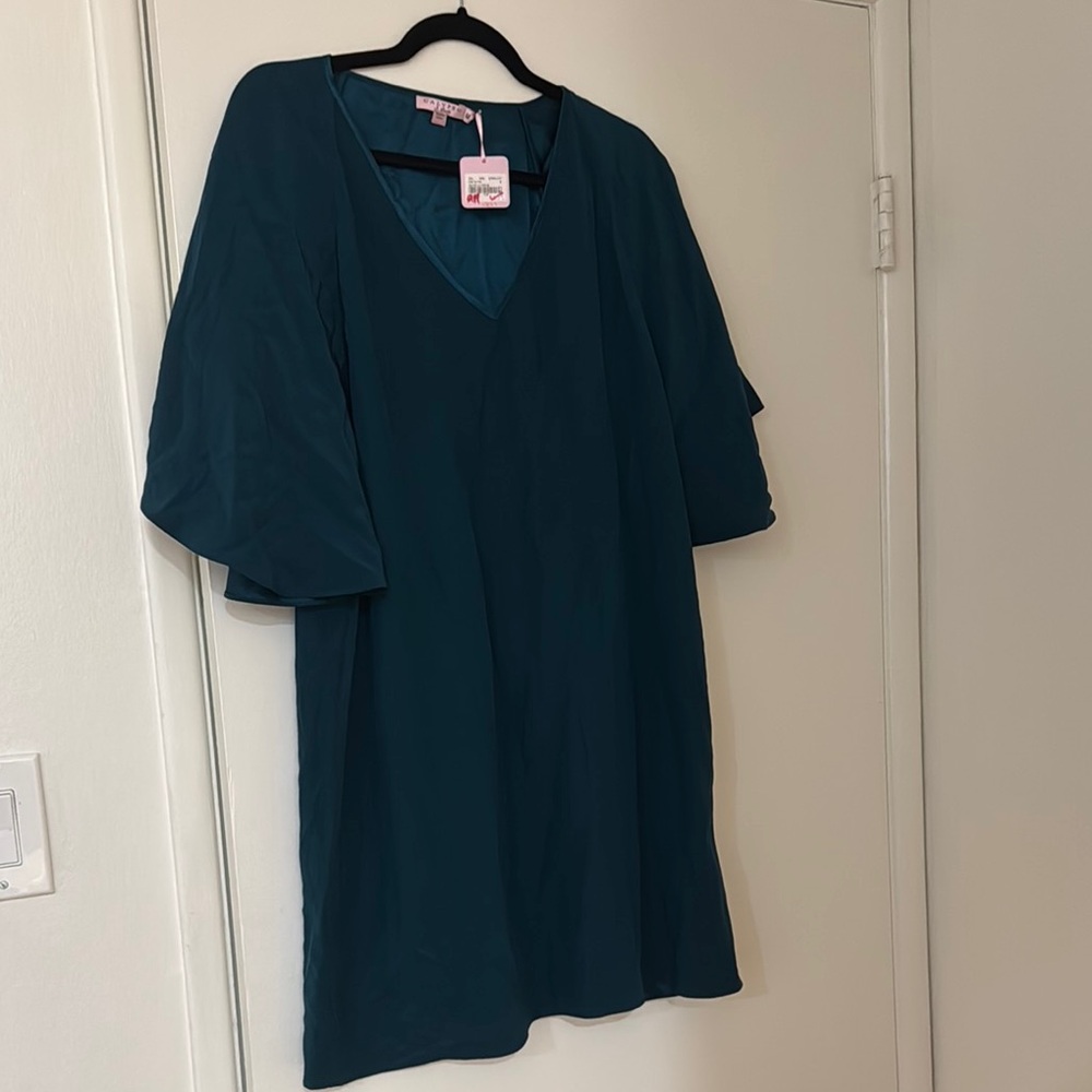 Calyspo V-Neck silk Dress